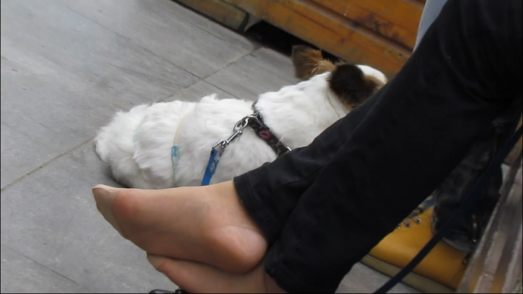 streetsnapnylon[00 03 07][20181205 223612 4]